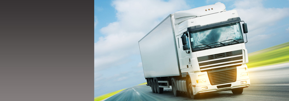 Tail Lift and Shutter Door Inspections 